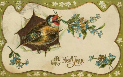 old postcard with bird