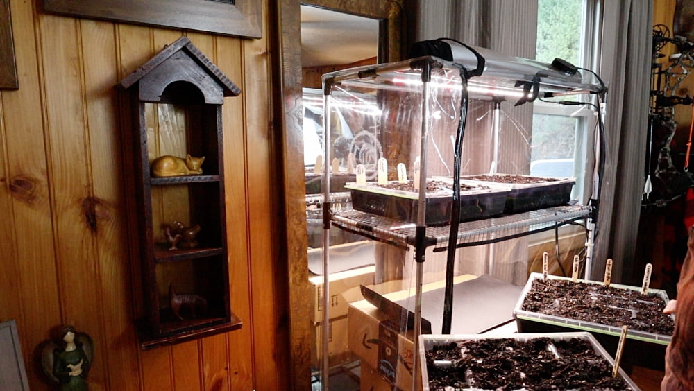 Home | Blind Pig and The Acorn