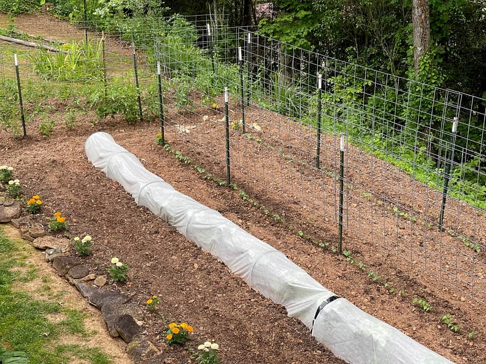 7 Benefits of Raised Bed Gardening - National Garden Bureau 