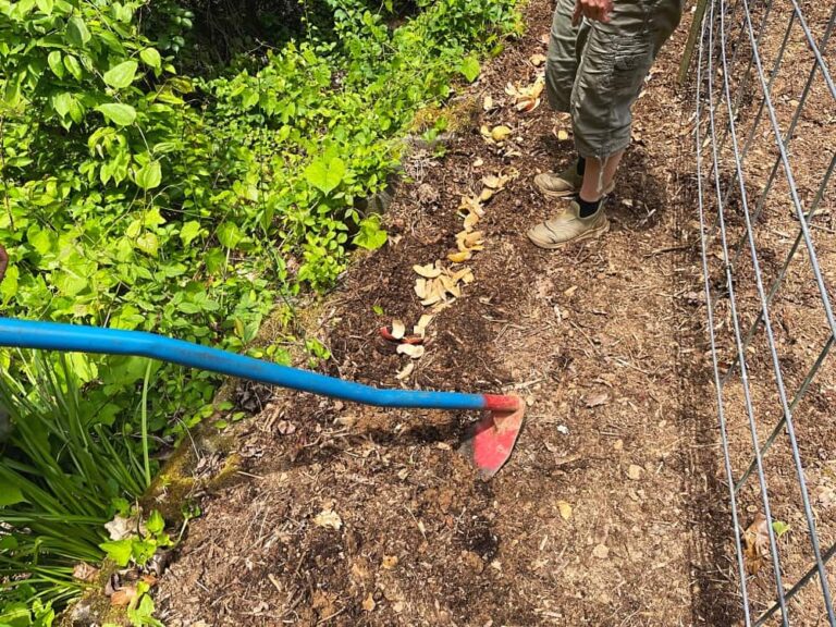 My Life in Appalachia – Planting Potato Peels