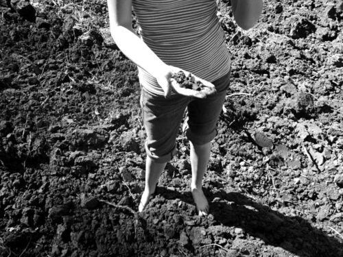 girl standing in field holding dirt