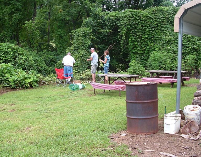 Our Blog Page 4 of 420 Blind Pig and The Acorn