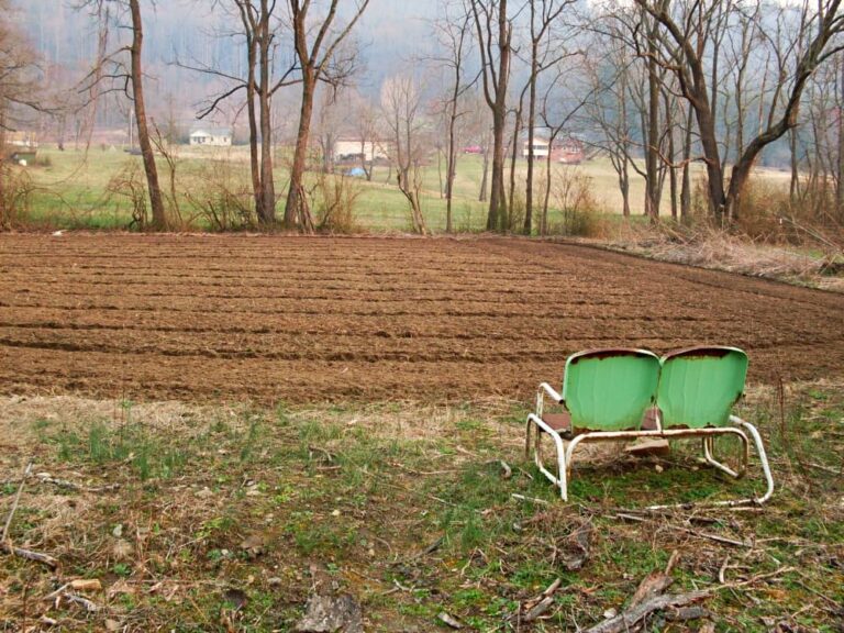 plowed garden area