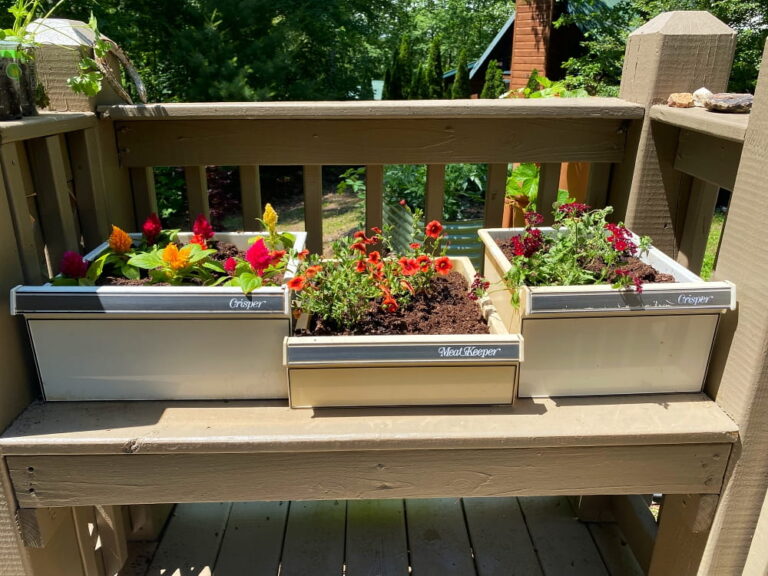 refrigerator drawers filled with flowers