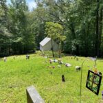 graveyard on steep hill