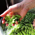 washing green beans in sink