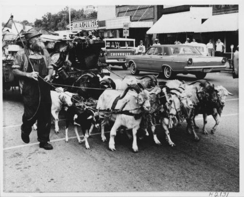 wagon pulled by goats