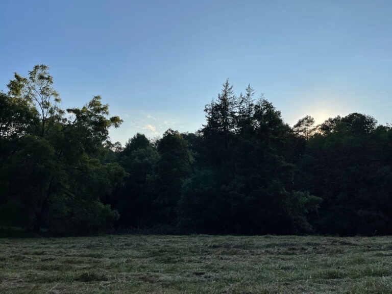 evening mountains scene