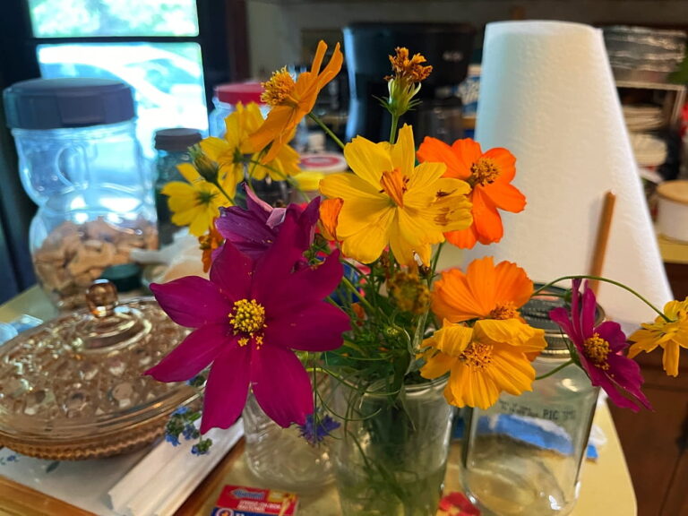 bouquet of wild flowers