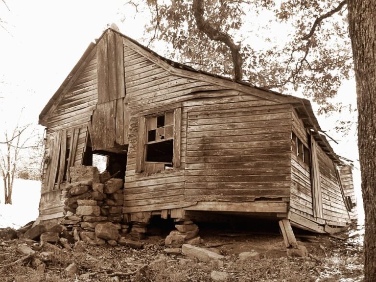 old house under tree