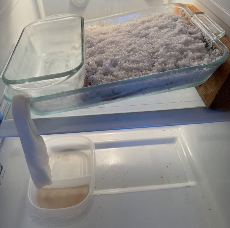 meat in pan in refrigerator
