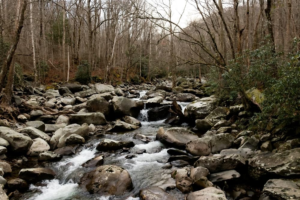 creek in smoky mountains