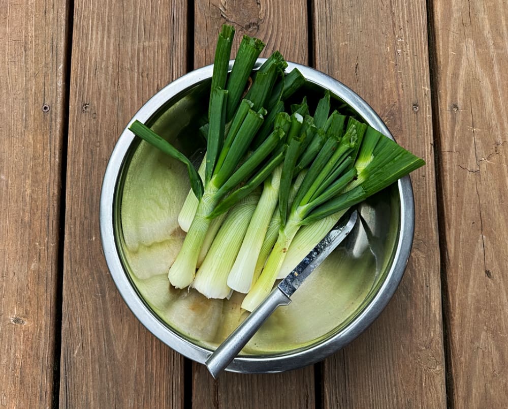 green onions in bowl