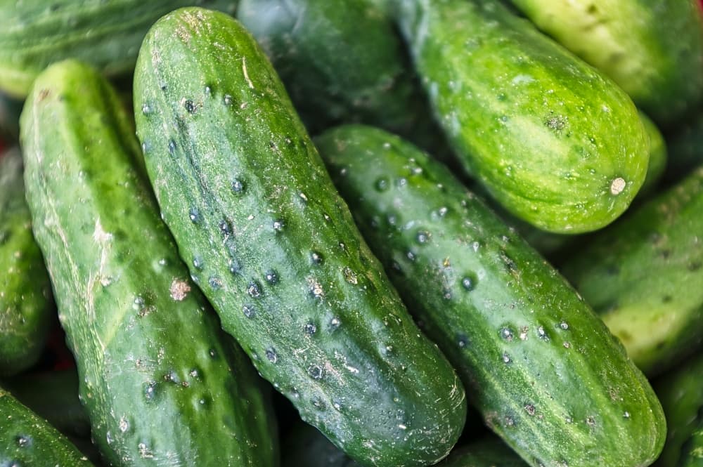 cucumbers from the garden