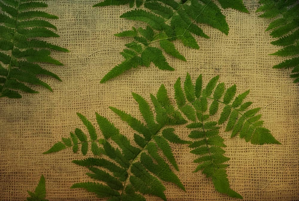 ferns on burlap