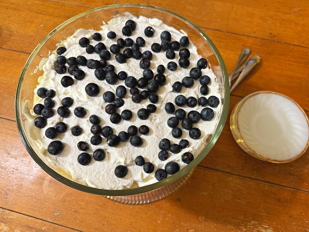 blueberry trifle