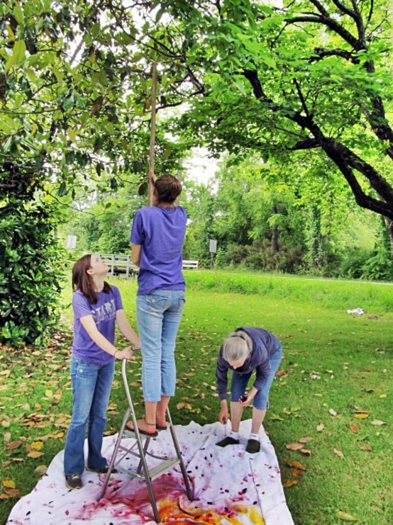Miss Cindy and girls picking mulberries