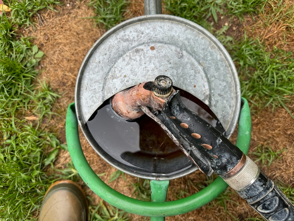 watering can filled with water