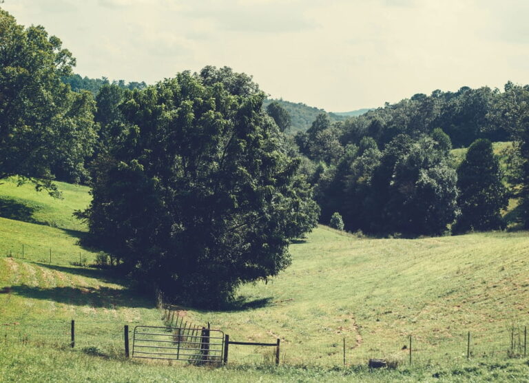 Appalachian Vocabulary Test 177