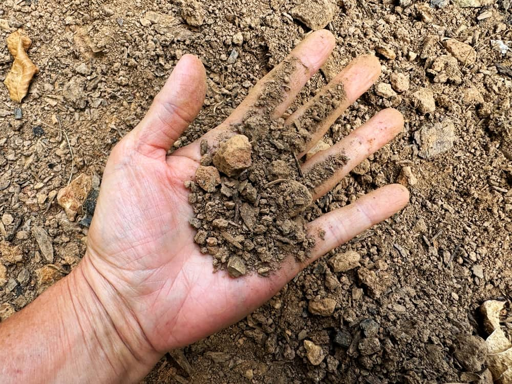 hand holding dry dirt