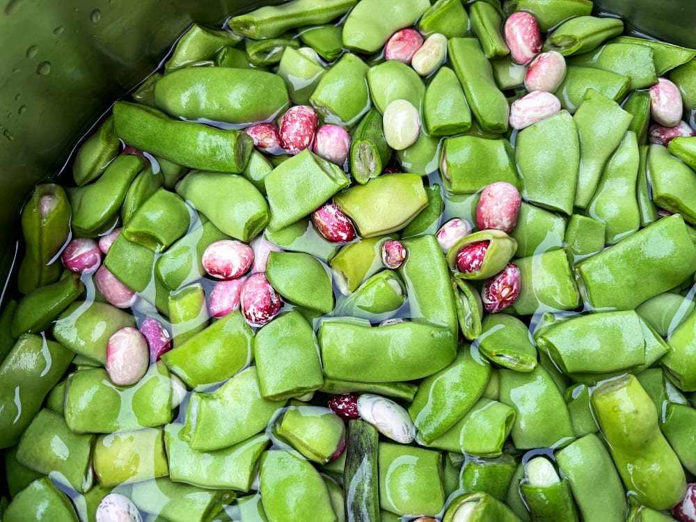 Green beans with pod and colorful bean