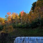 fall colors in the mountains