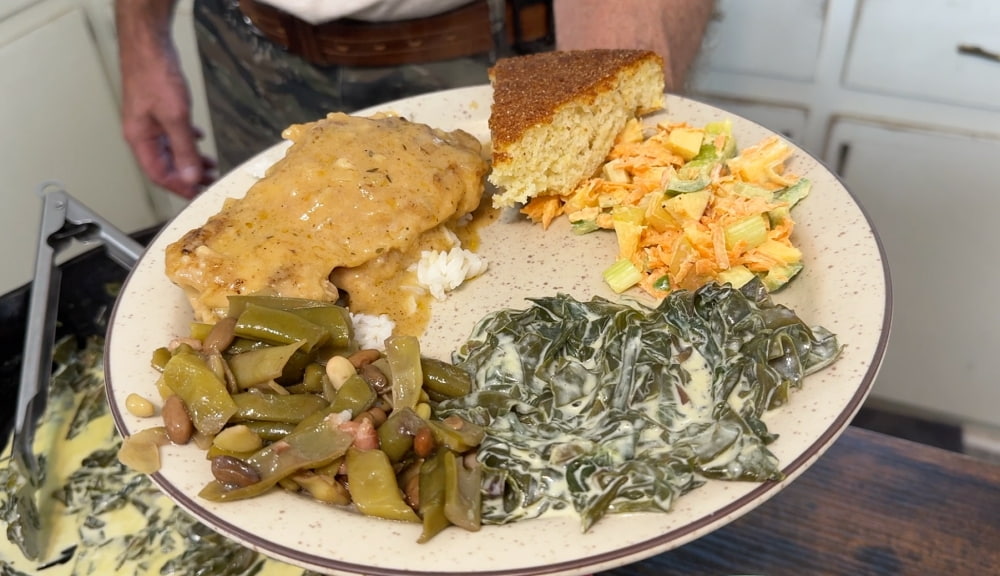 chicken with gravy on plate