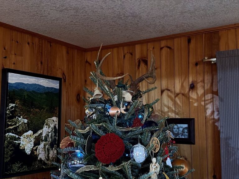 Christmas tree with deer antler topper