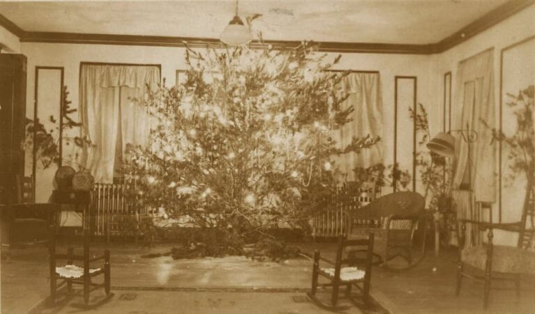 Christmas Tree from days gone by