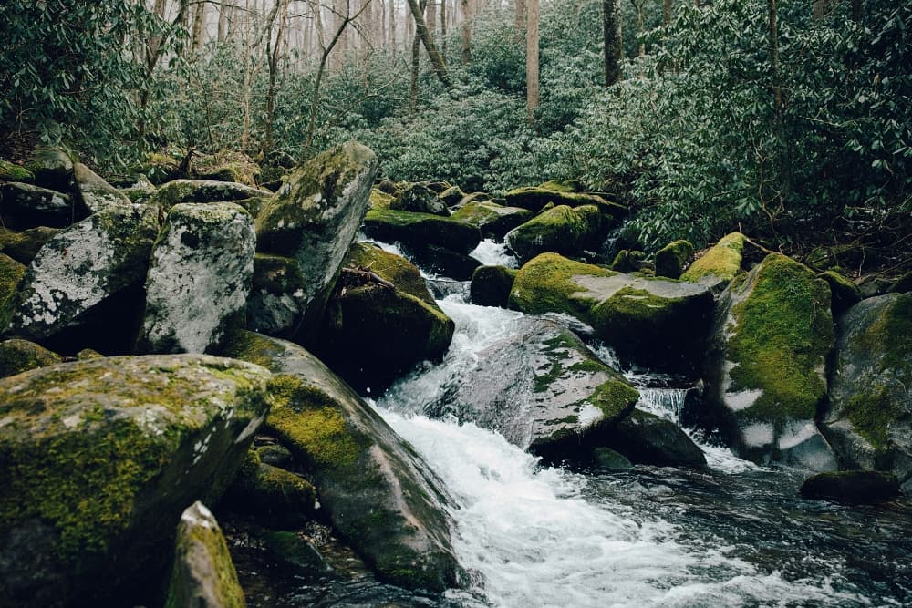 mountain creek