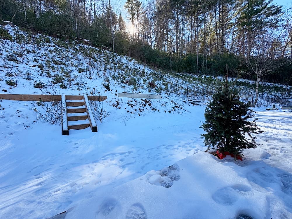 snow on steps and yard