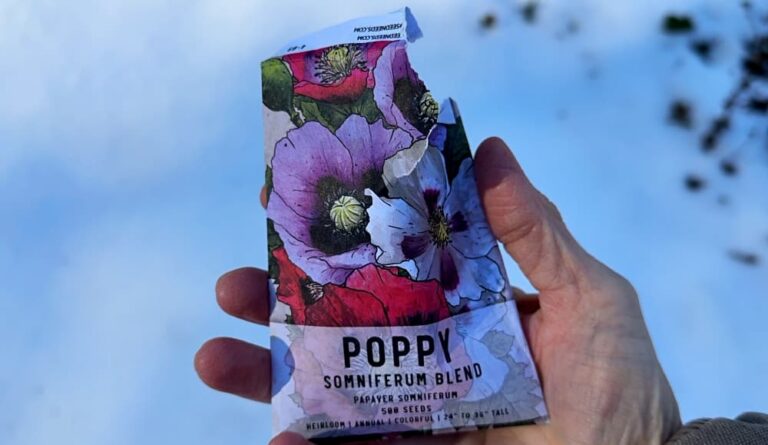 pack of poppy seeds