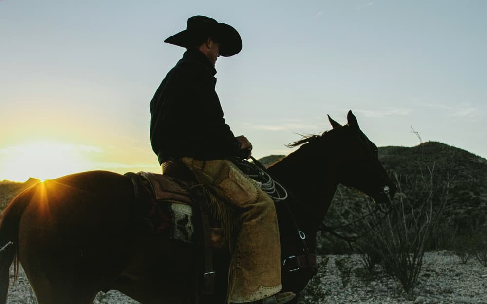 cowboy on horse