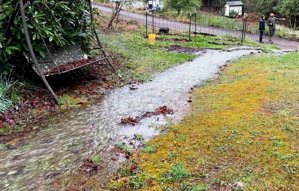 flooded yard area