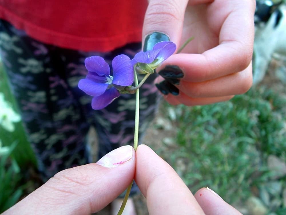 two girls holding violets