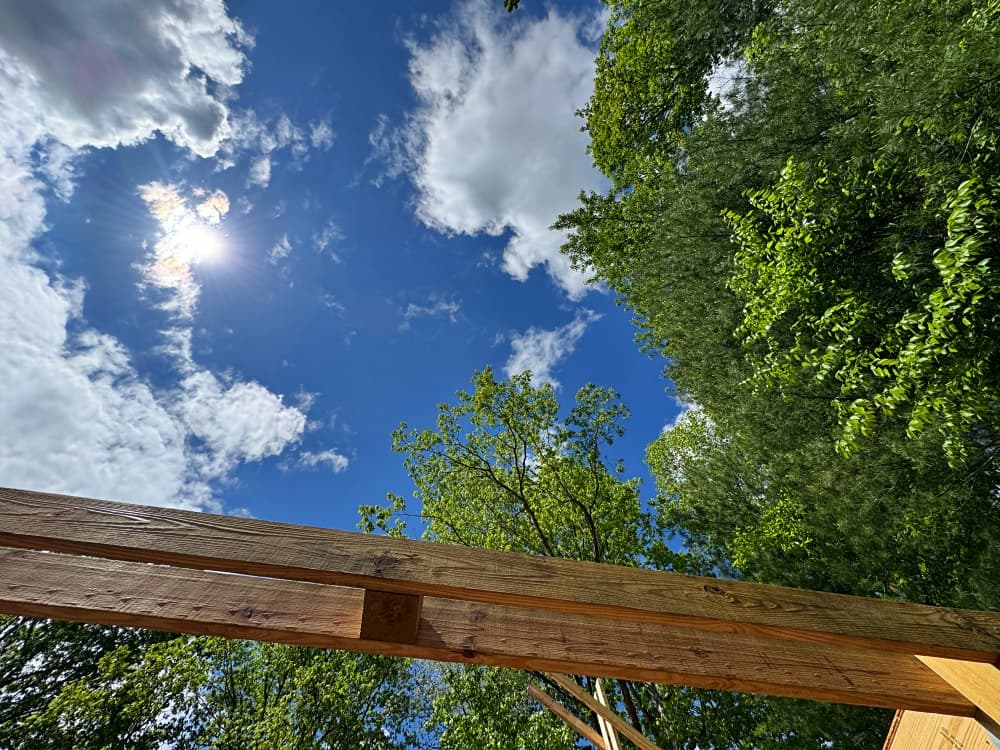 blue sky surrounded by green trees