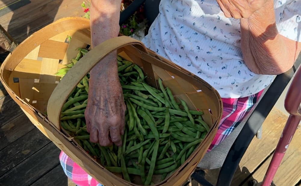old woman holding basket of beans