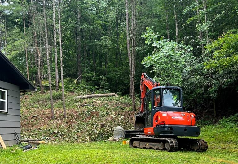 Tree Cutting in the Holler
