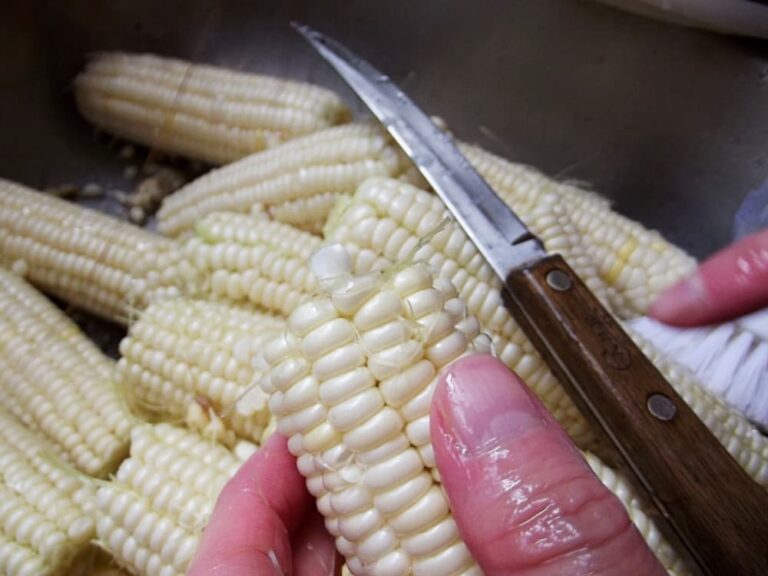 sink full of fresh corn