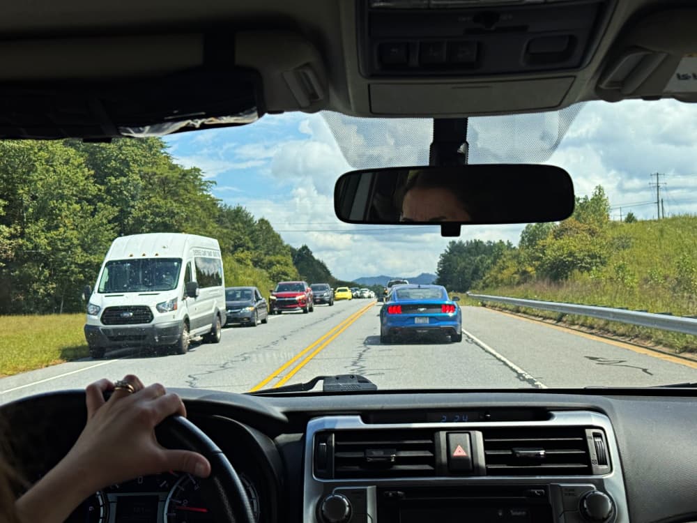 cars stopped on roadside