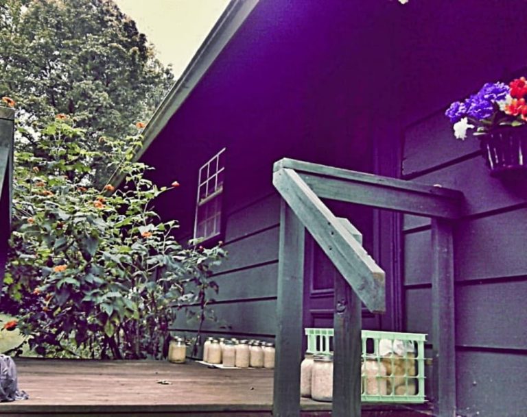 porch of green house