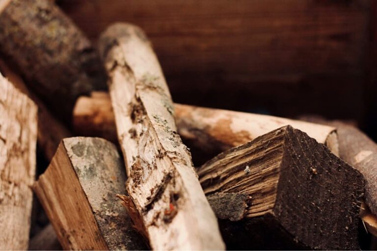 pile of firewood