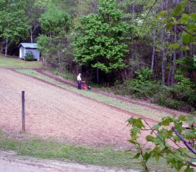 Pap's Big Garden