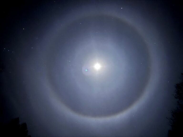 Moon in night sky