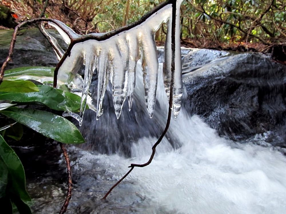 icicles by creek