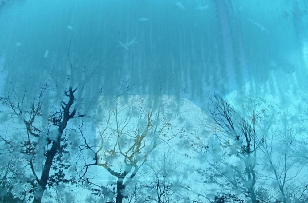 frosty car window