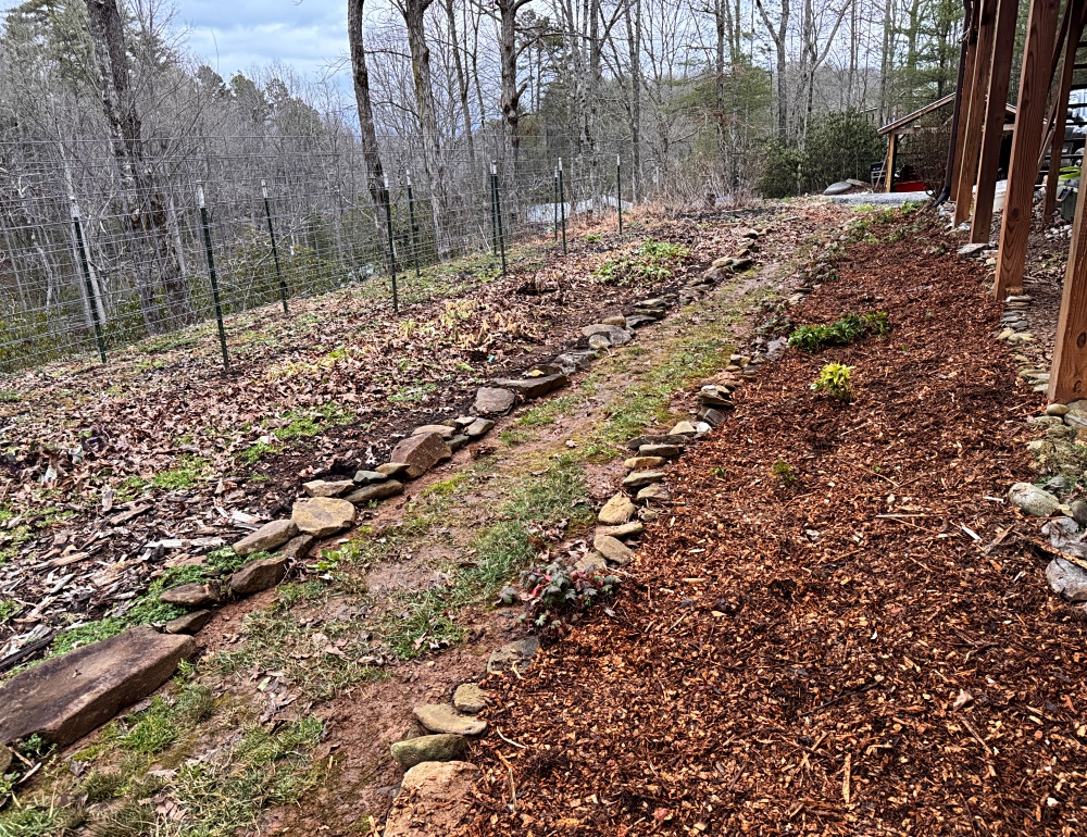 flower bed