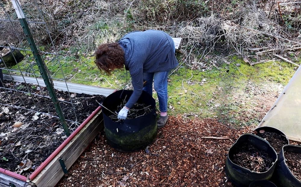 Woman spreading mulch