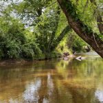 Brasstown Creek