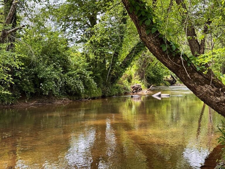 Brasstown Creek